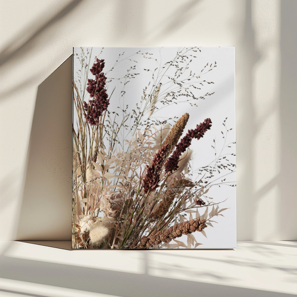 Dried_001 | Canvas
