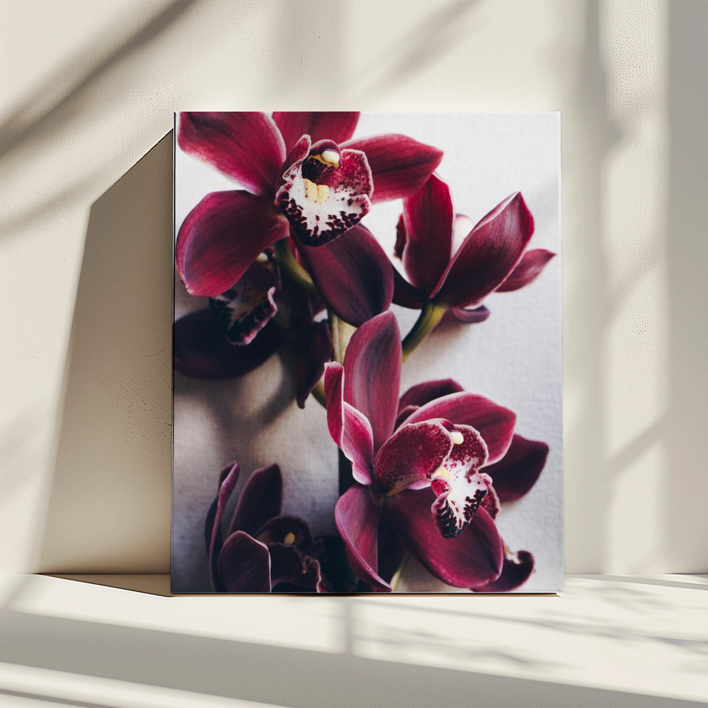 Orchideen-Eleganz | Leinwand