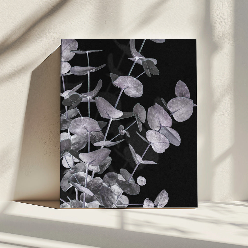 Eukalyptus_Negativ_003 | Leinwand