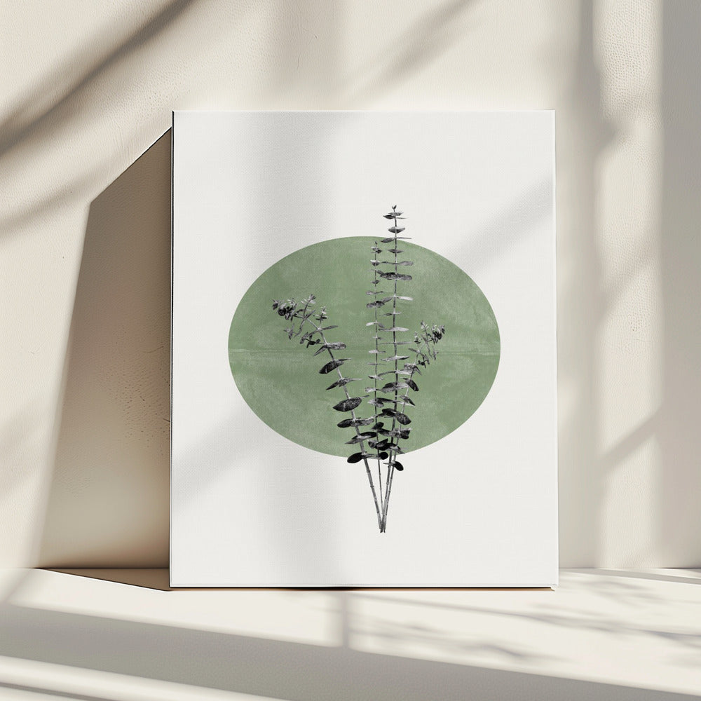 Naturecho | Leinwand