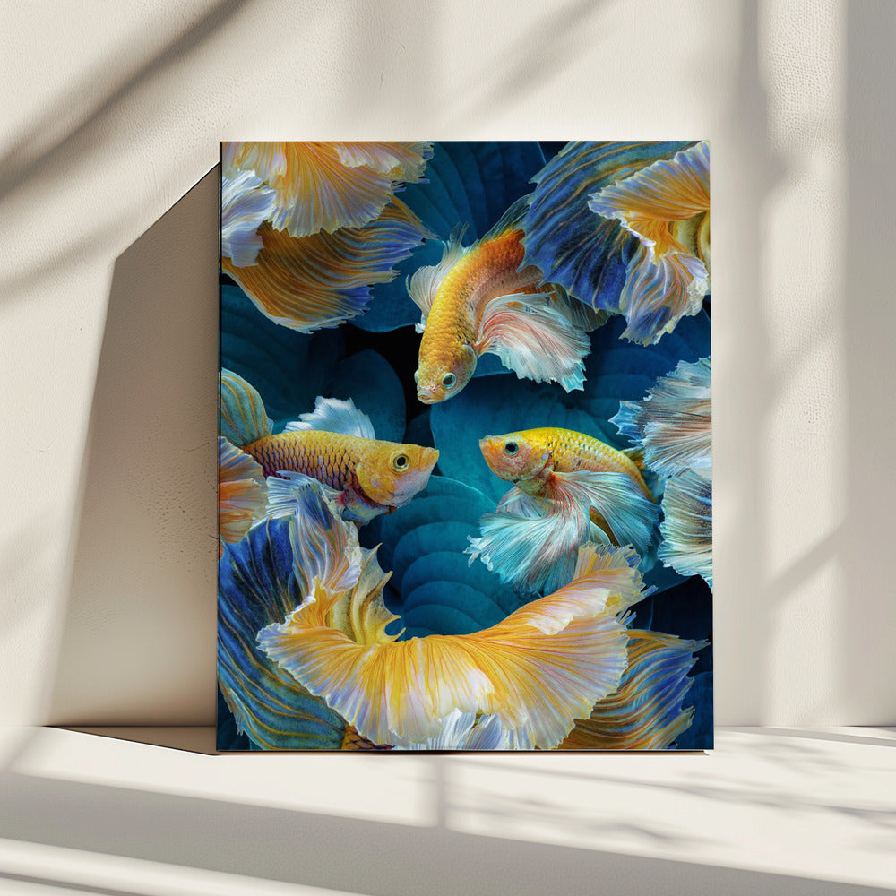 Farbfisch | Leinwand