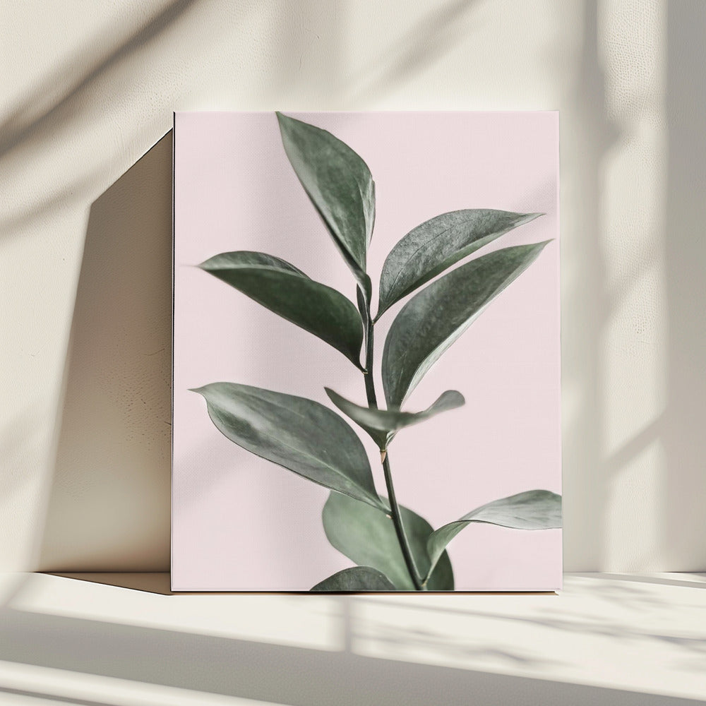 Laub auf Rosa | Leinwand