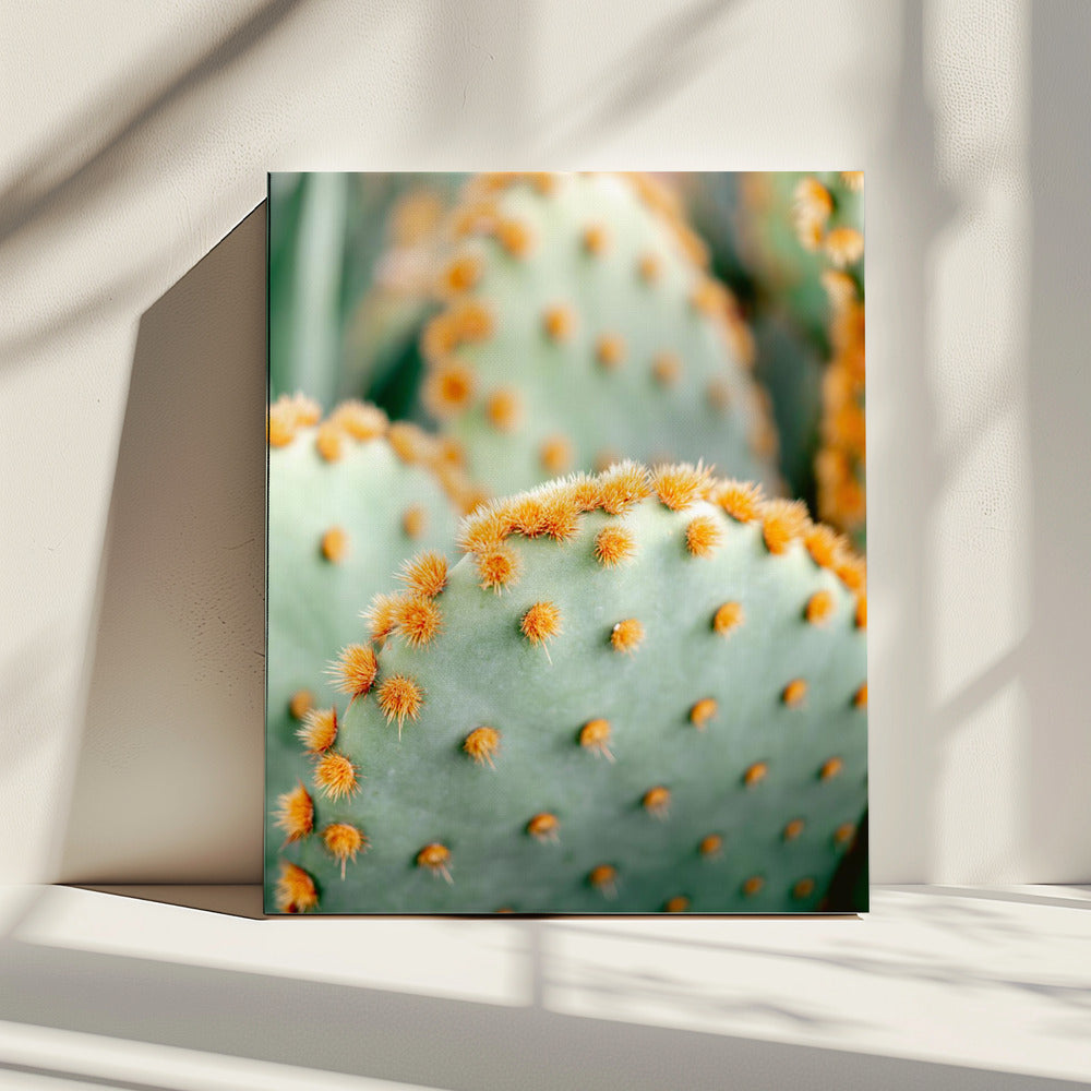 Orange und Grün II – Botanische Fotografie aus Marrakesch | Leinwand