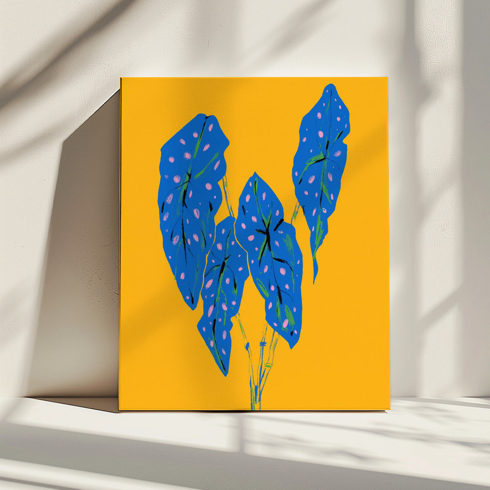 Begonia Maculata Blau und Gelb | Leinwand