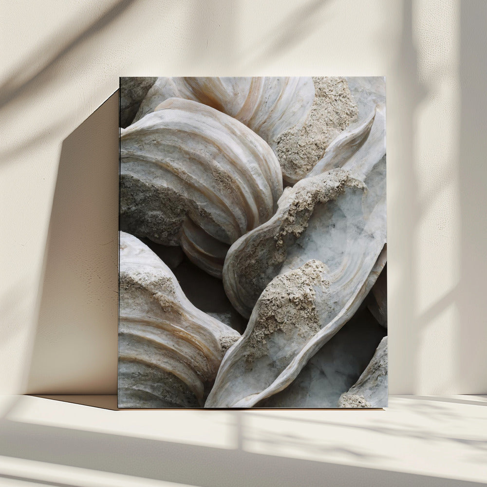 Muschelsymphonie | Leinwand