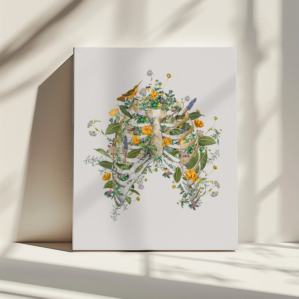 Floraler Thorax | Leinwand