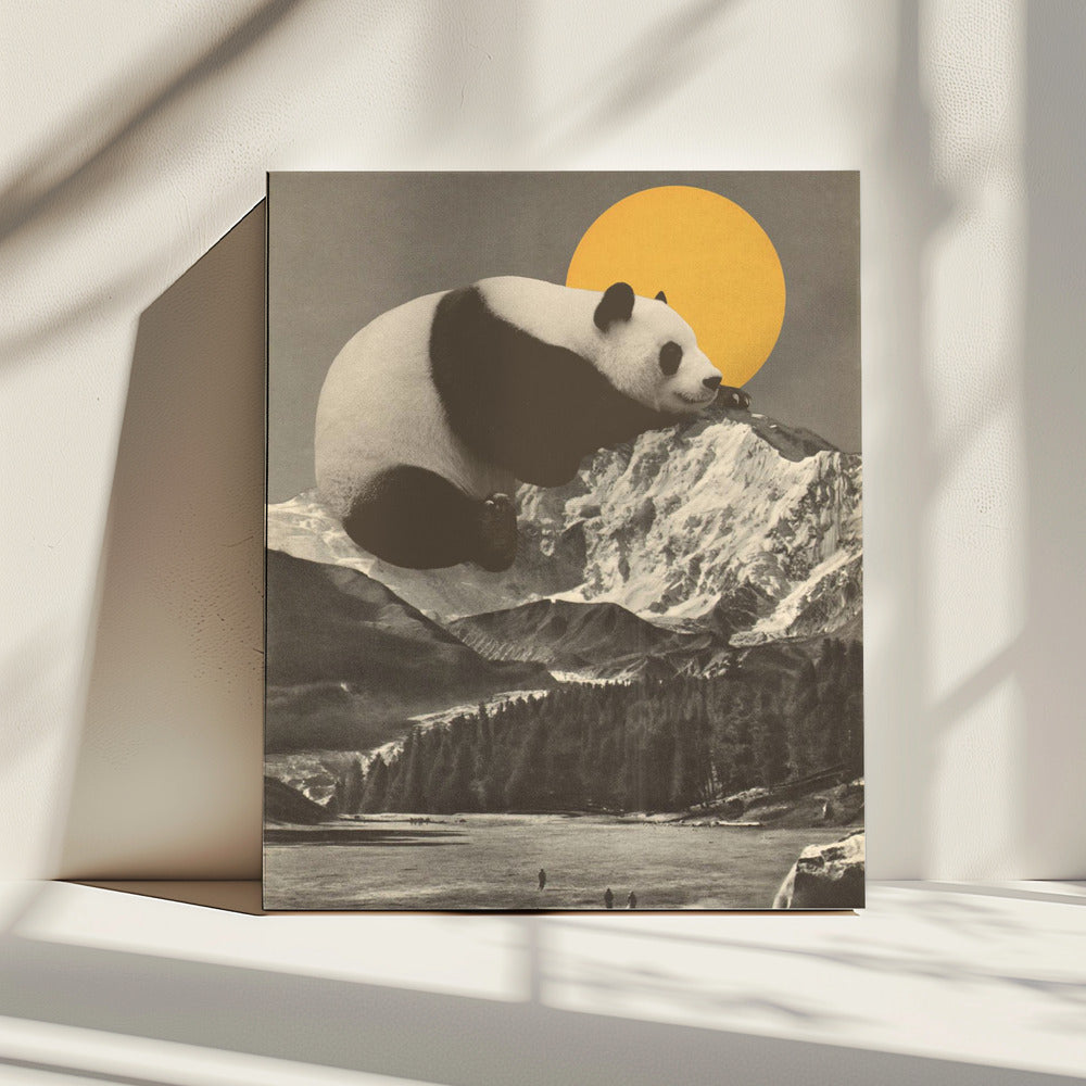 Nickerchen des Großen Pandas | Leinwand