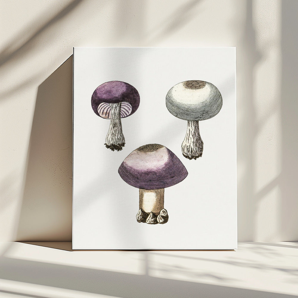 Handgemalter violetter Webcap-Pilz | Leinwand