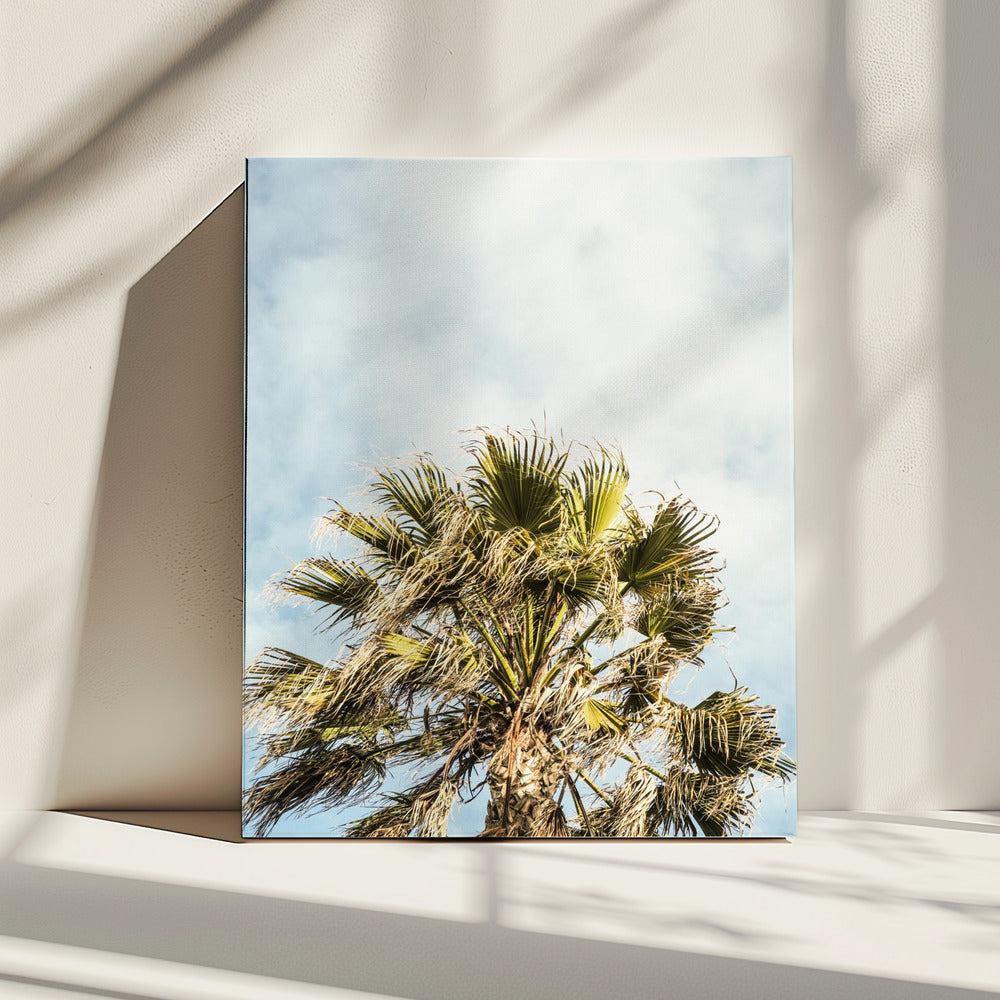 Sonnenbeschienene Wedel | Leinwand