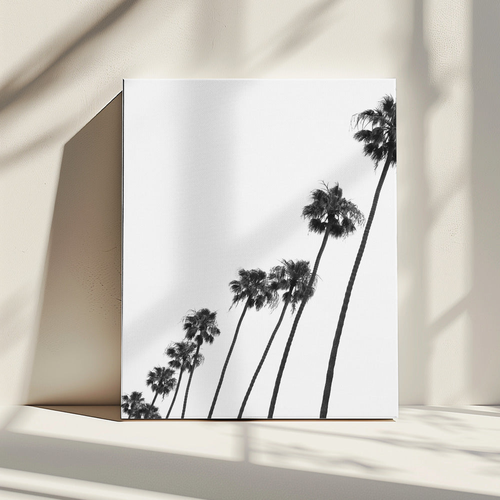 Tall Palm Parade | Canvas