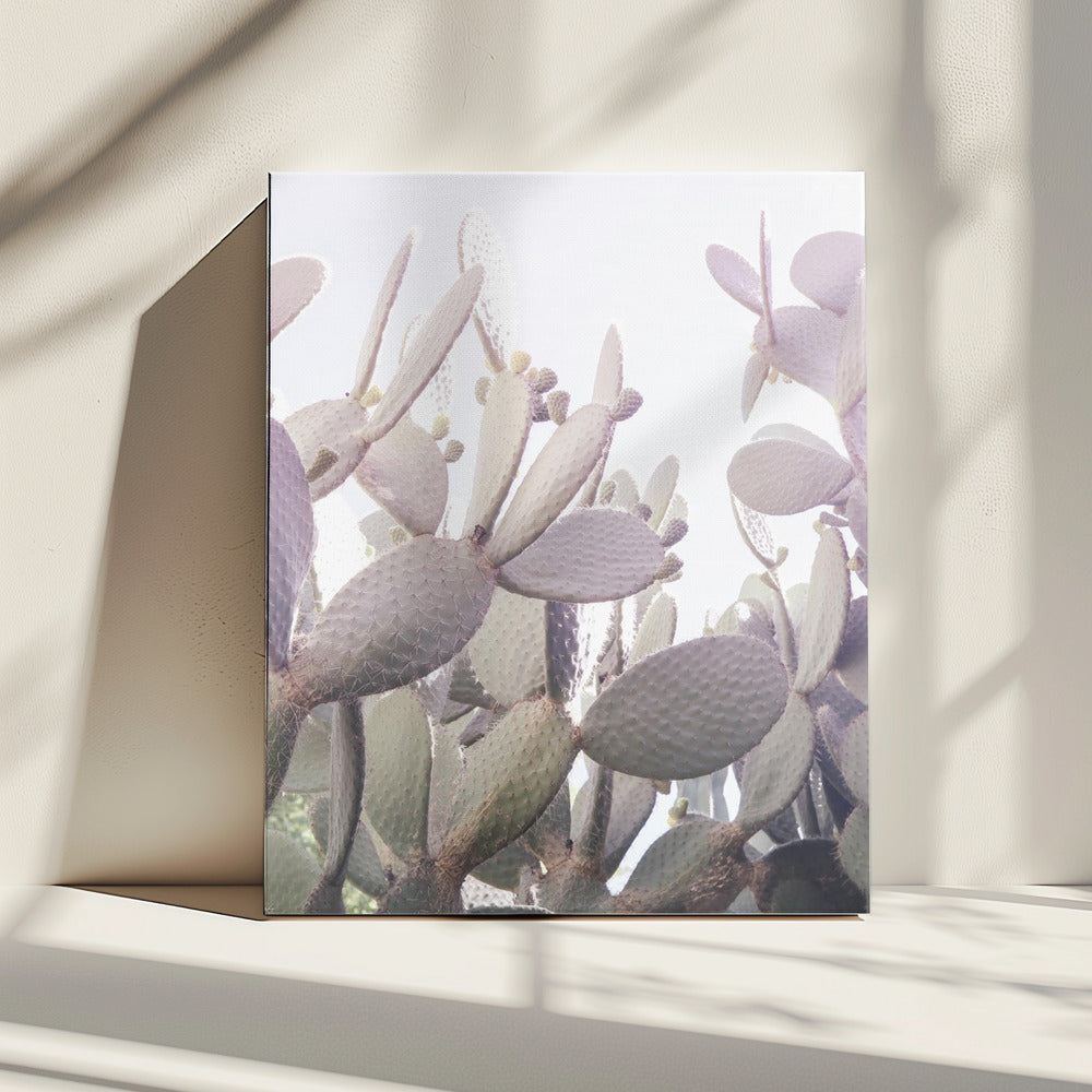 Prickly Serenity | Canvas