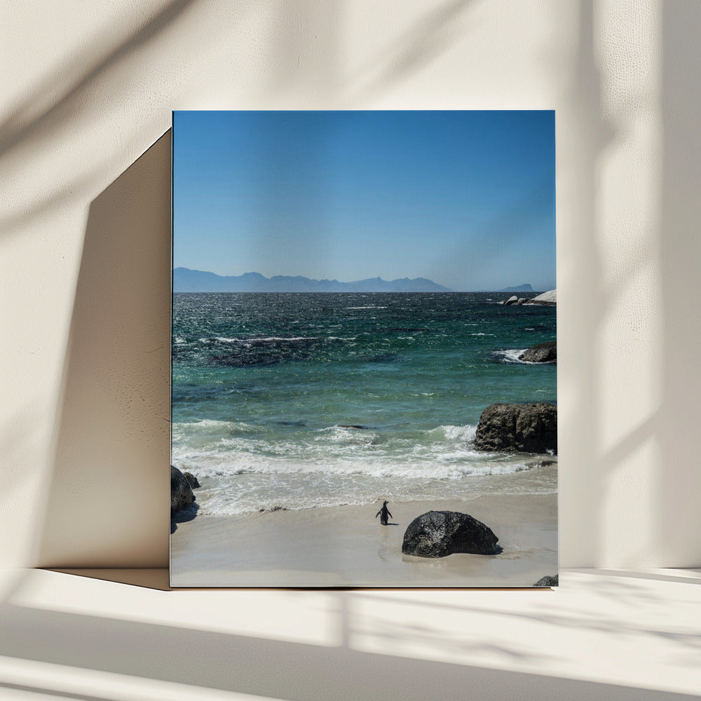 Strandspaziergang des Pinguins | Leinwand