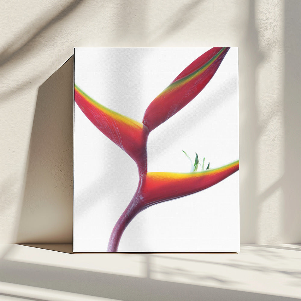 Tropische Eleganz | Leinwand