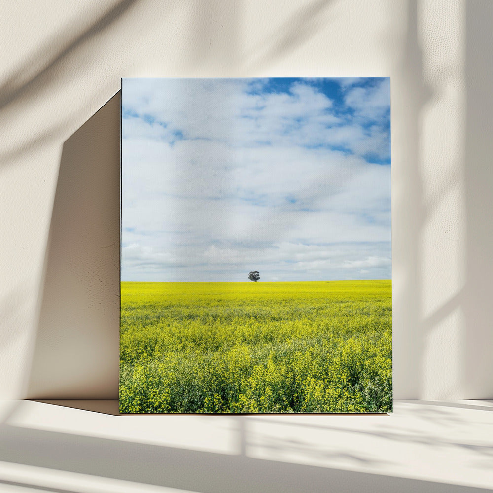 Einsamer Baumhorizont | Leinwand
