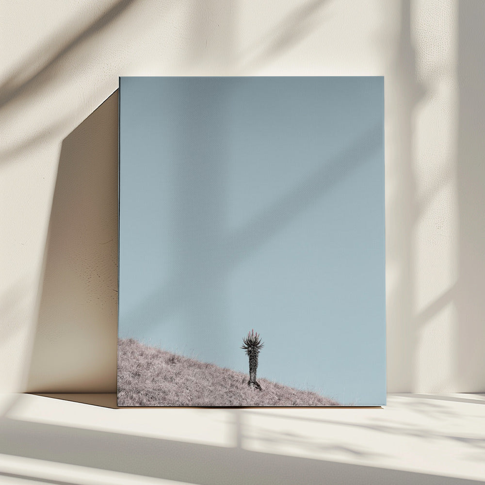Minimalistisches Kunstwerk | Leinwand