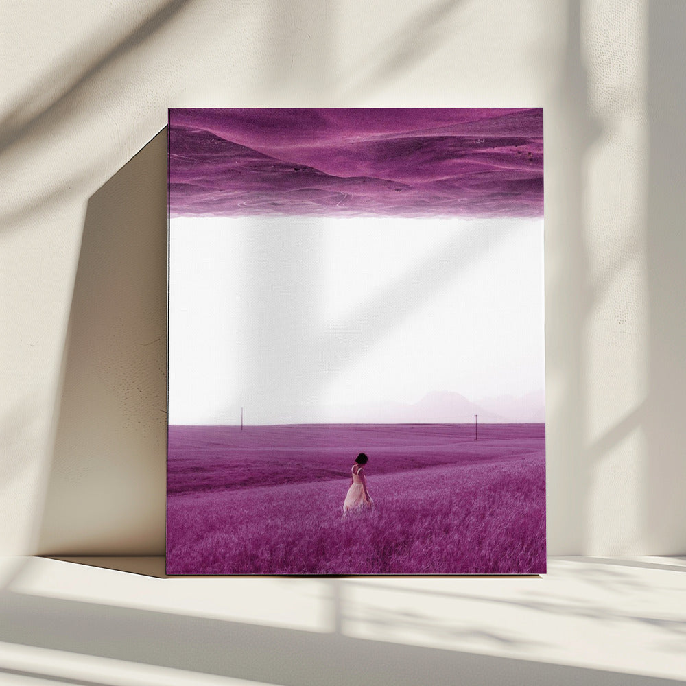 Lila Felder | Leinwand
