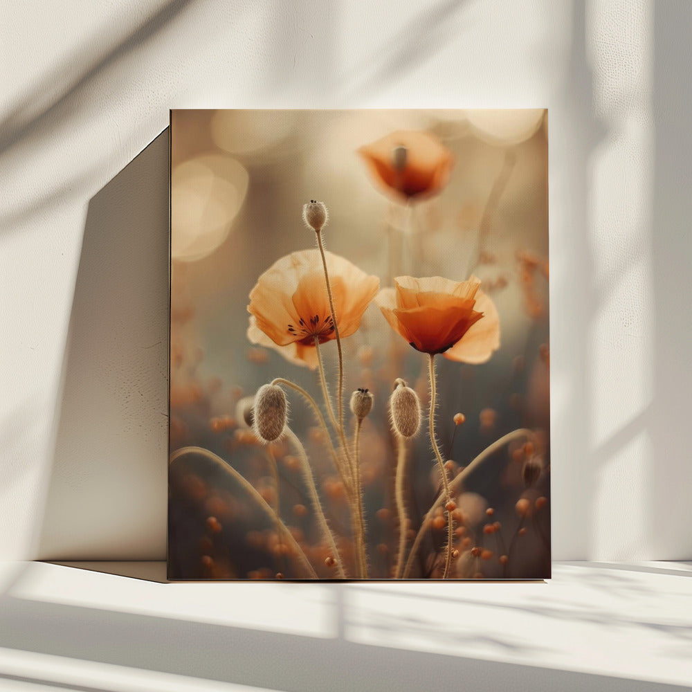Mohnblumengeflüster | Leinwand