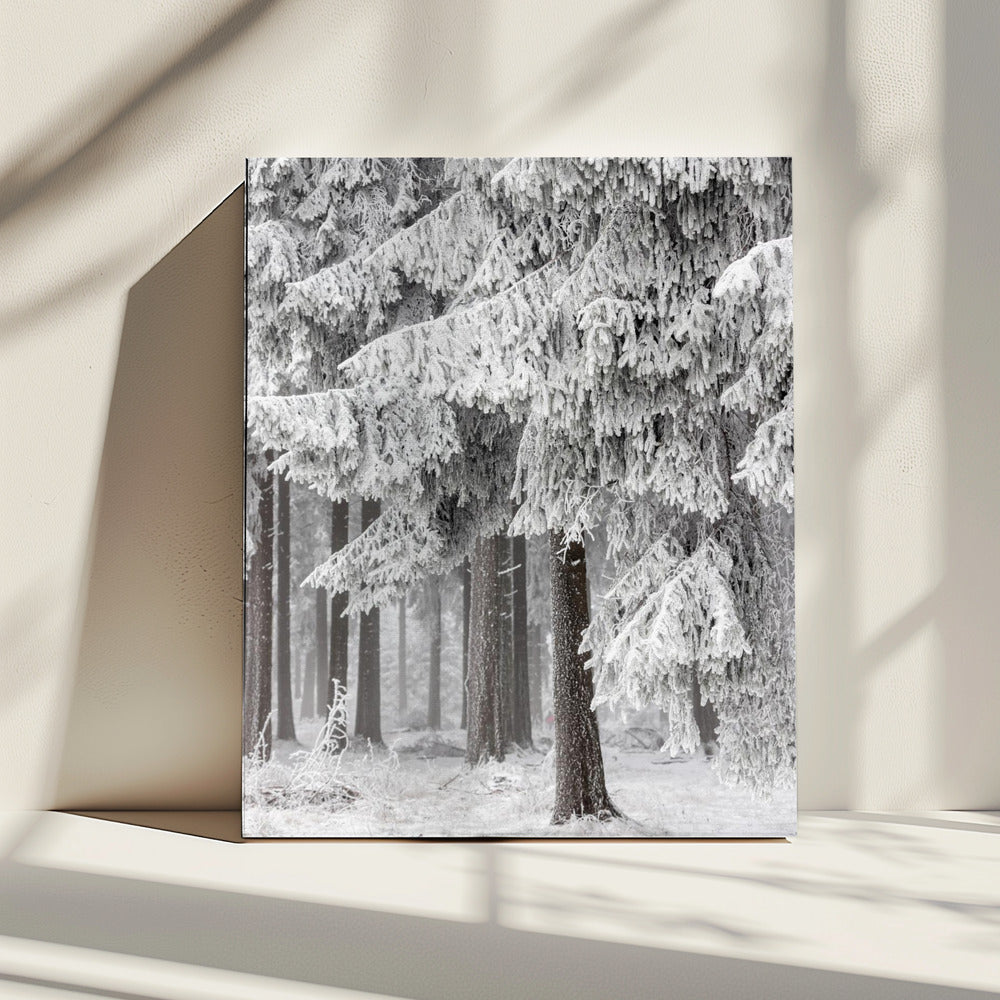Winterwald 2 | Leinwand