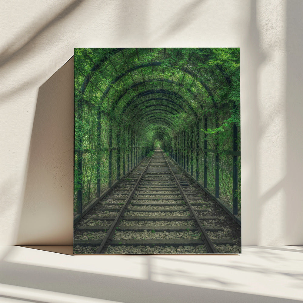 Grüner Tunnel | Leinwand