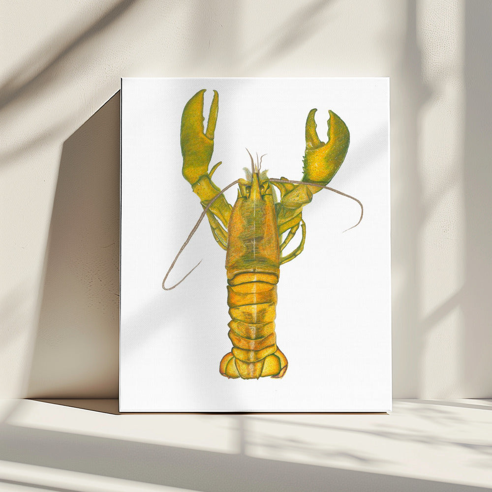 Lobster | Canvas