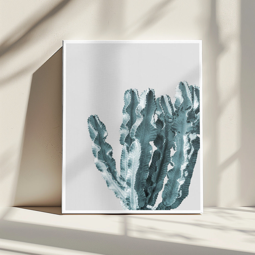 Kaktus Eleganz | Leinwand