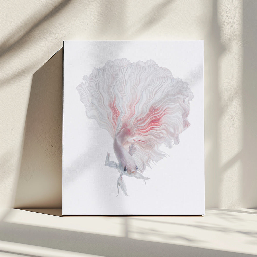 ROOT BETTA | Canvas