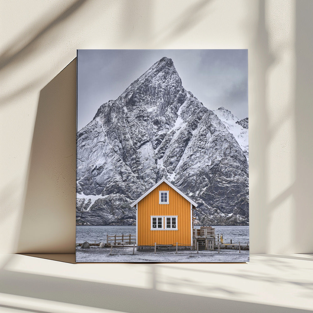 Dsf1216 1 | Canvas
