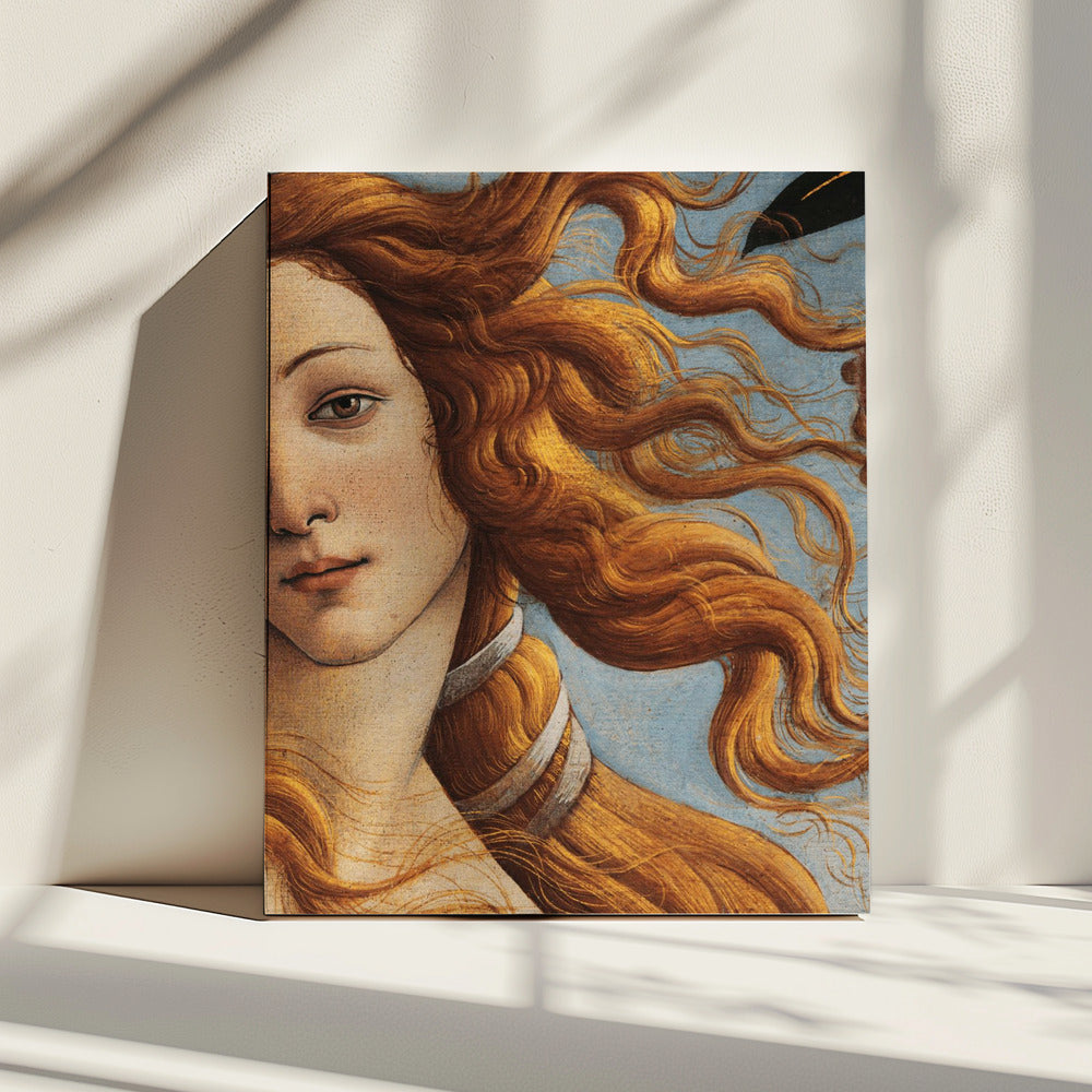 Die Geburt der Venus von Sandro Botticelli | Leinwand