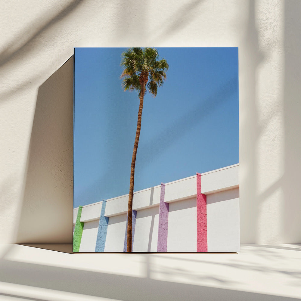 Palm Springs II | Leinwand