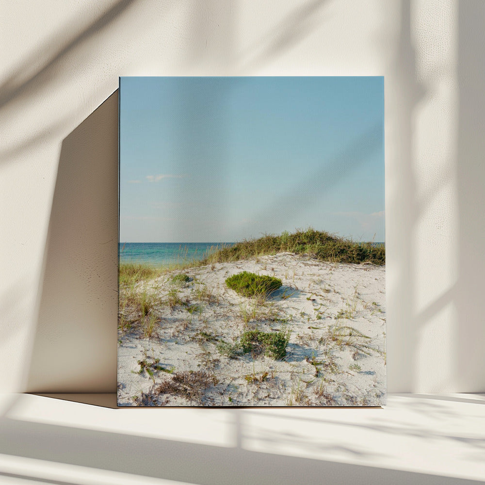 30a Dünen II | Leinwand