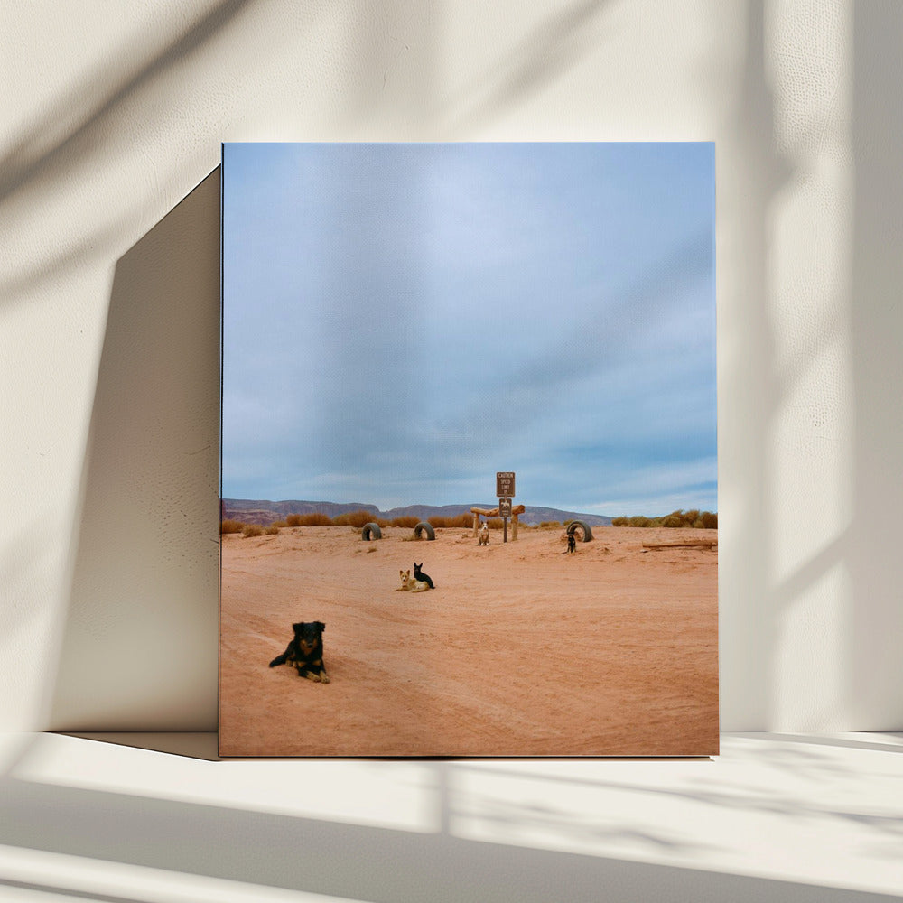 Monument Valley VIII | Leinwand