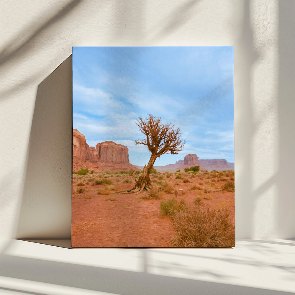 Monument Valley XI | Leinwand