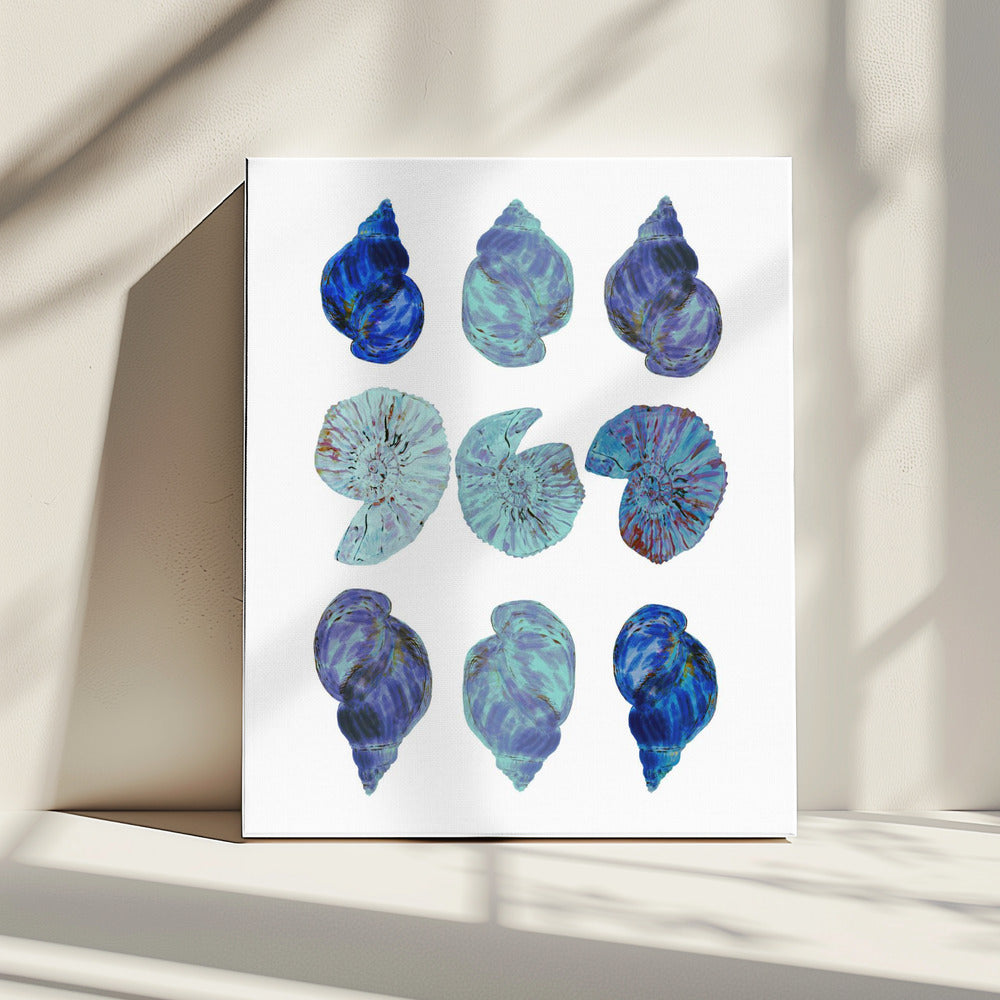 Blaue Muscheln Poster | Leinwand