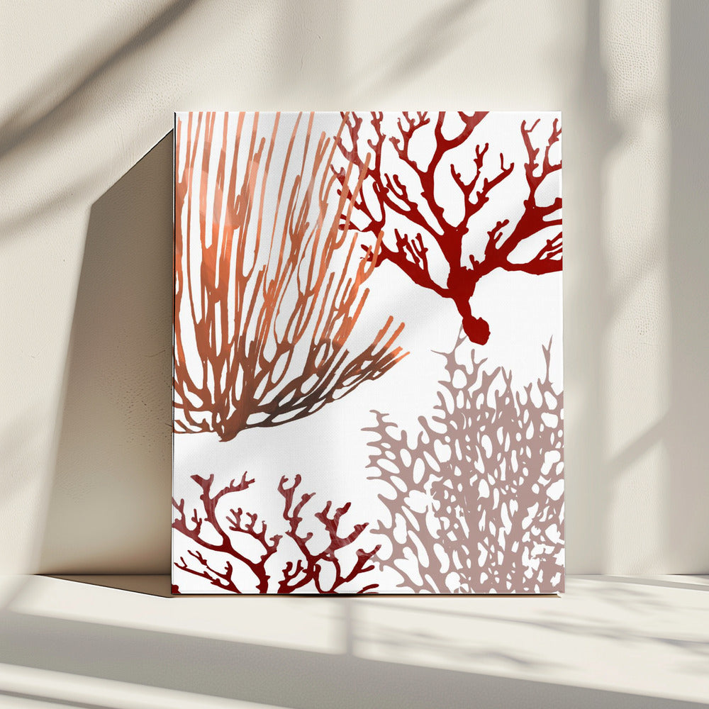 Rosa und rote Meereskoralle | Leinwand