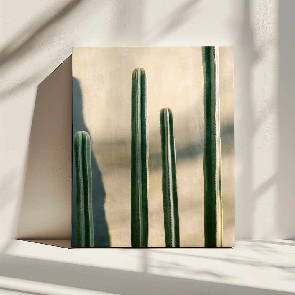 Oaxaca Shades of Green | Mexiko Reisefotografie | Leinwand
