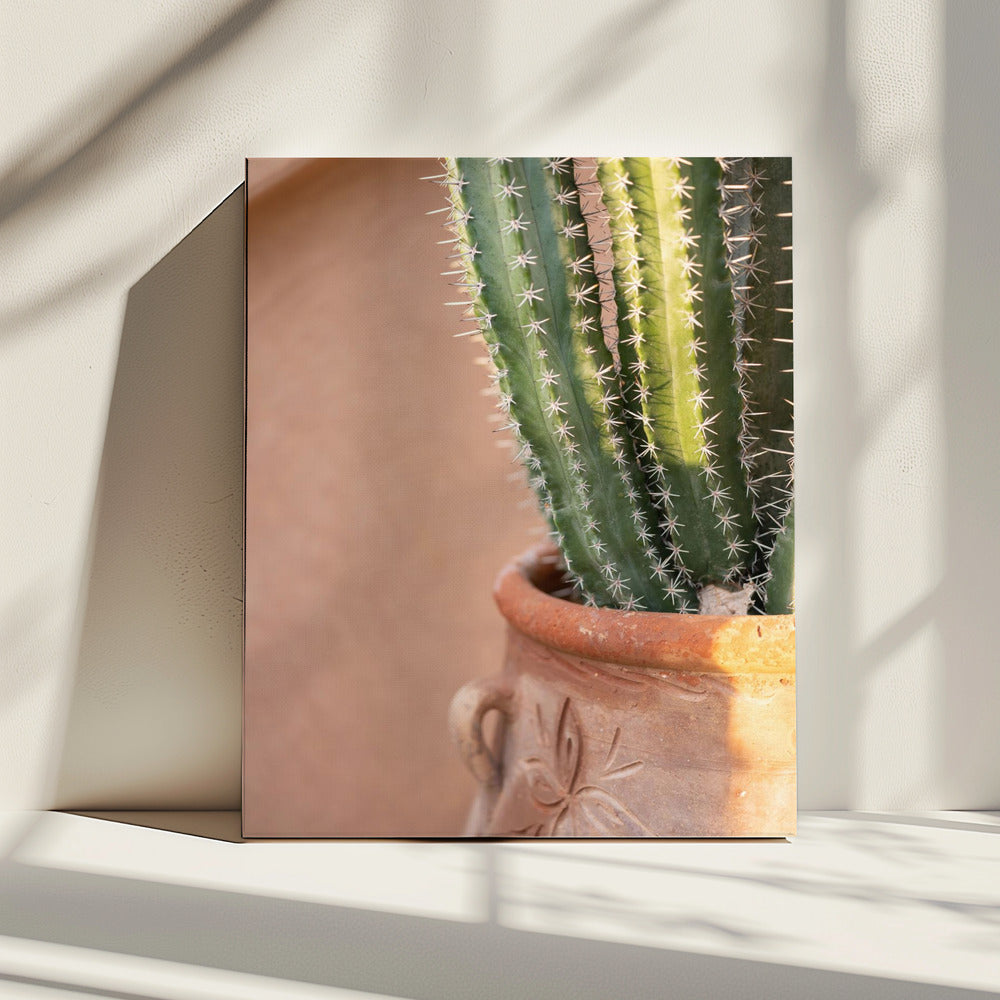 Grün auf Orange | Marrakesch Reisefotografie | Leinwand