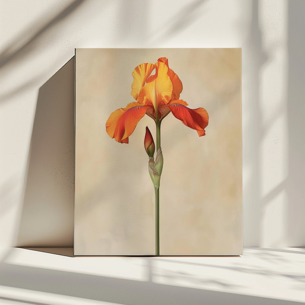 Poster Leinwand Sng Iris 34 | Leinwand