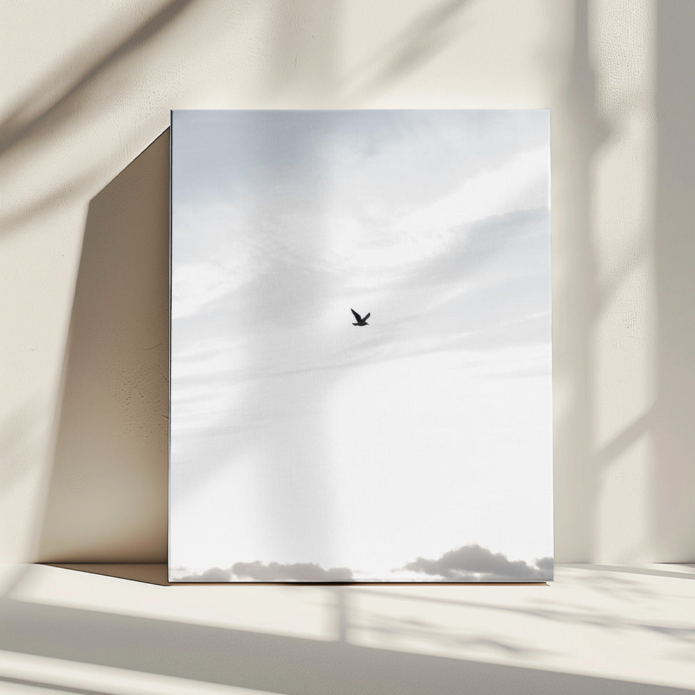 Hoch fliegen | Leinwand