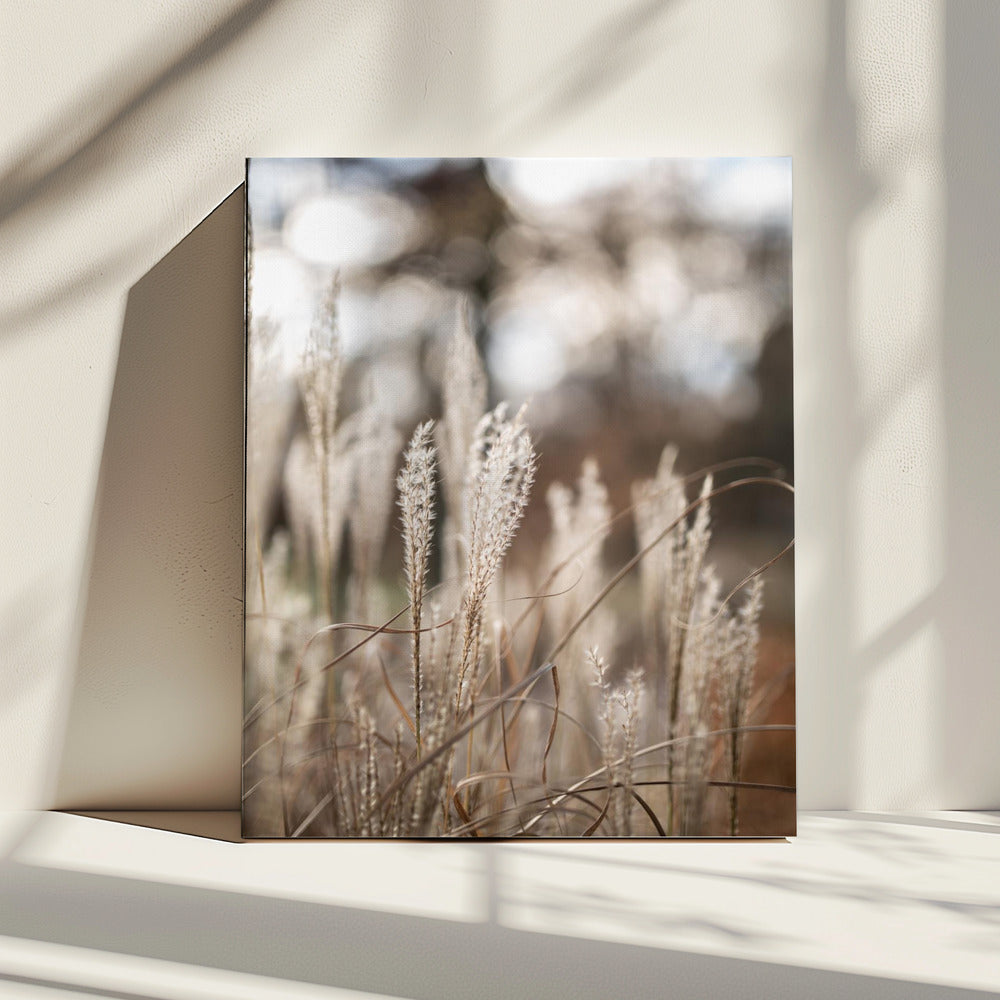 Grass 19 | Canvas
