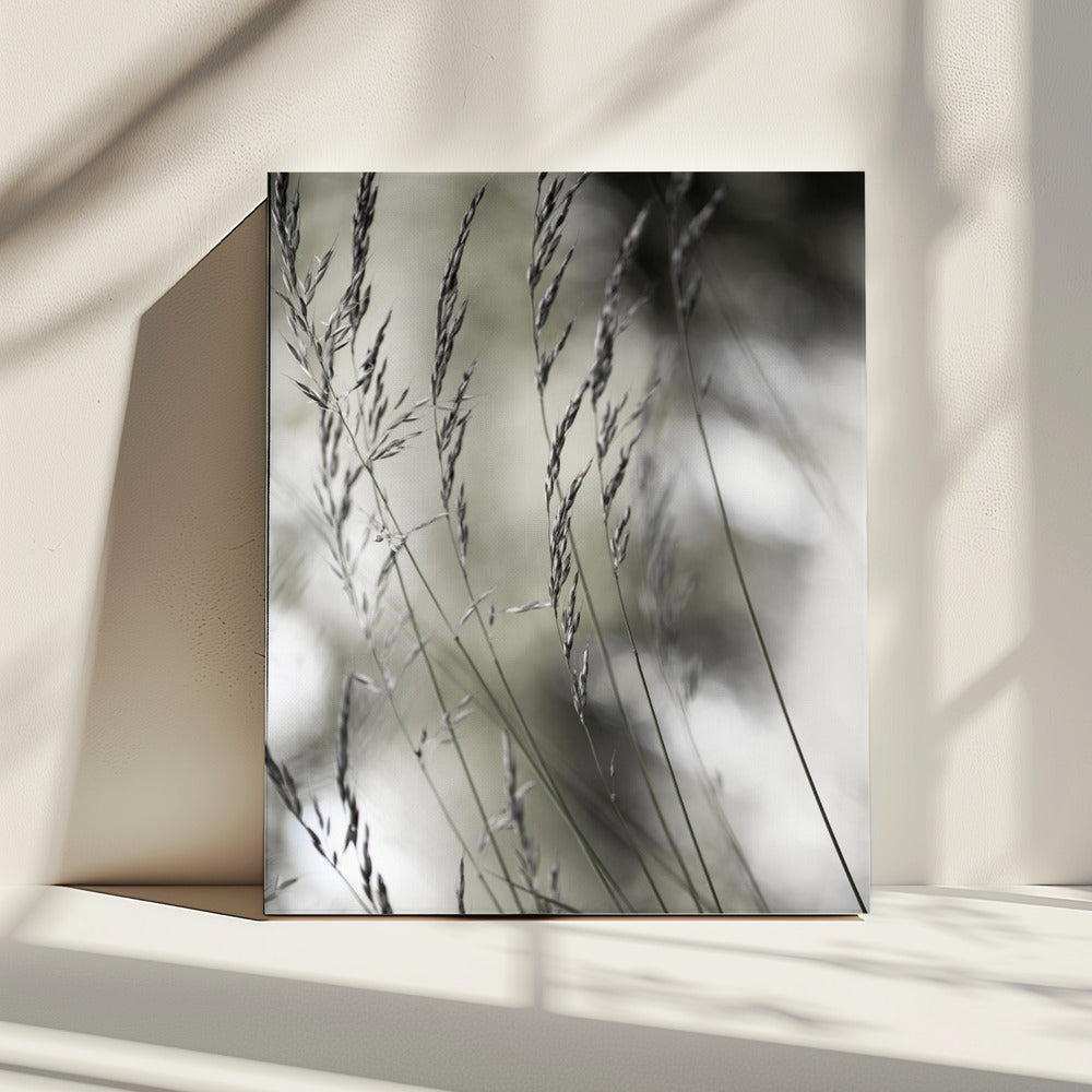 Sommergras 1 | Leinwand