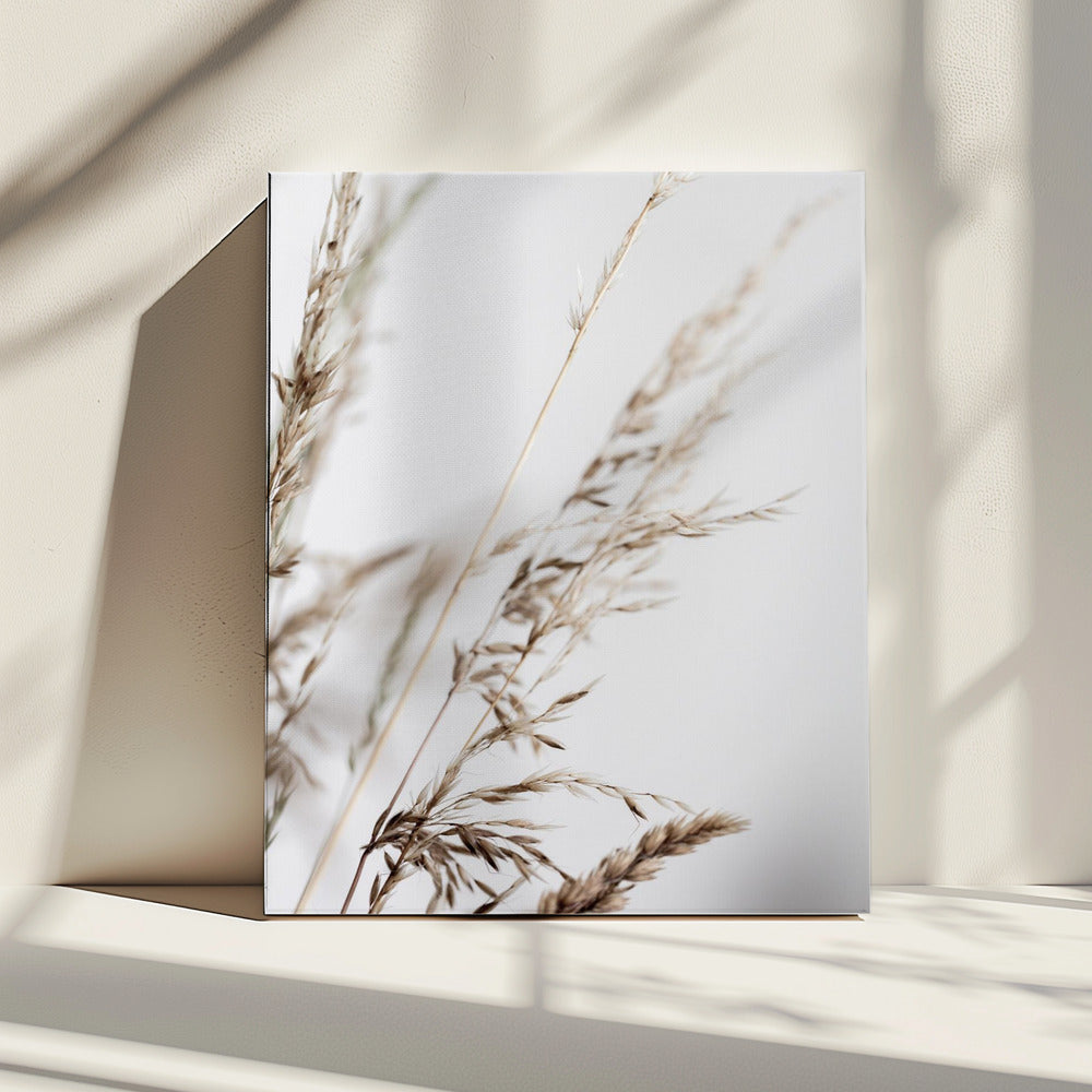 Sommergras 2 | Leinwand
