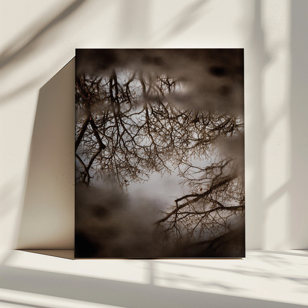 Winterreflexionen | Leinwand