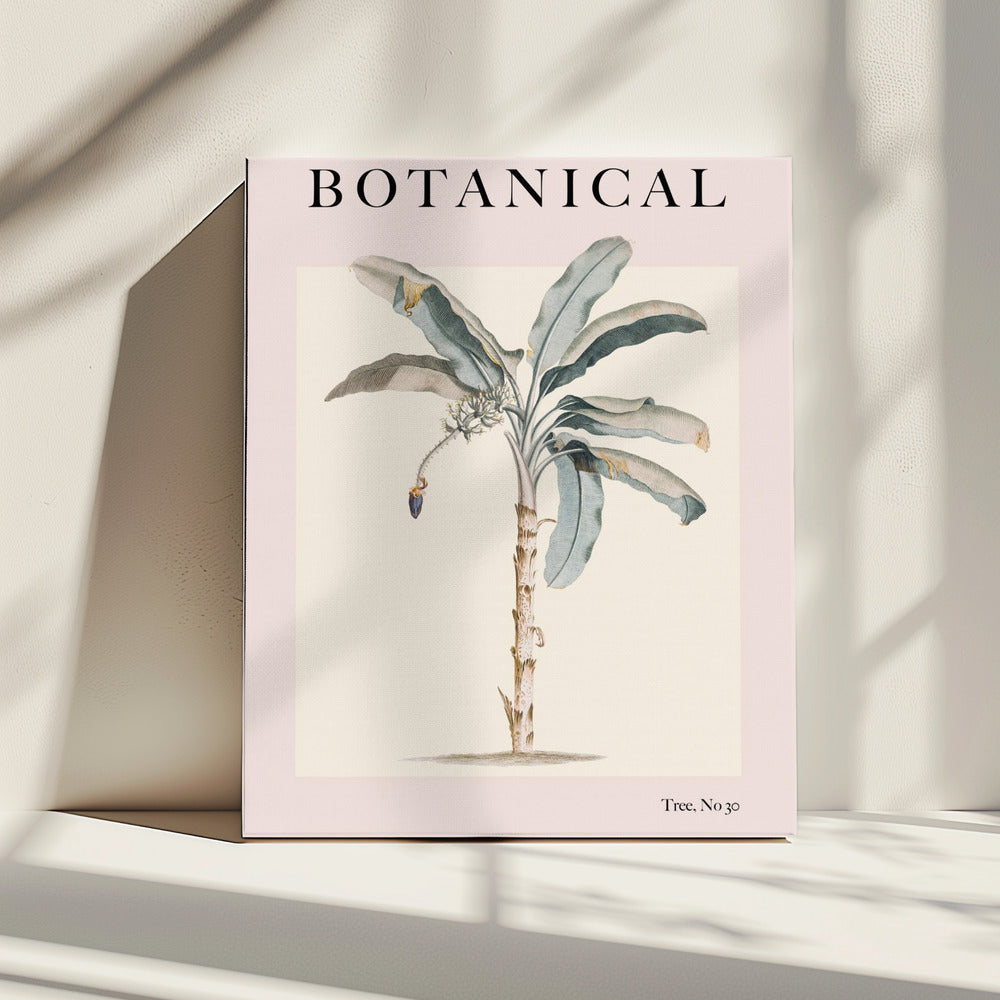 Botanicalno30 Ratioiso | Leinwand