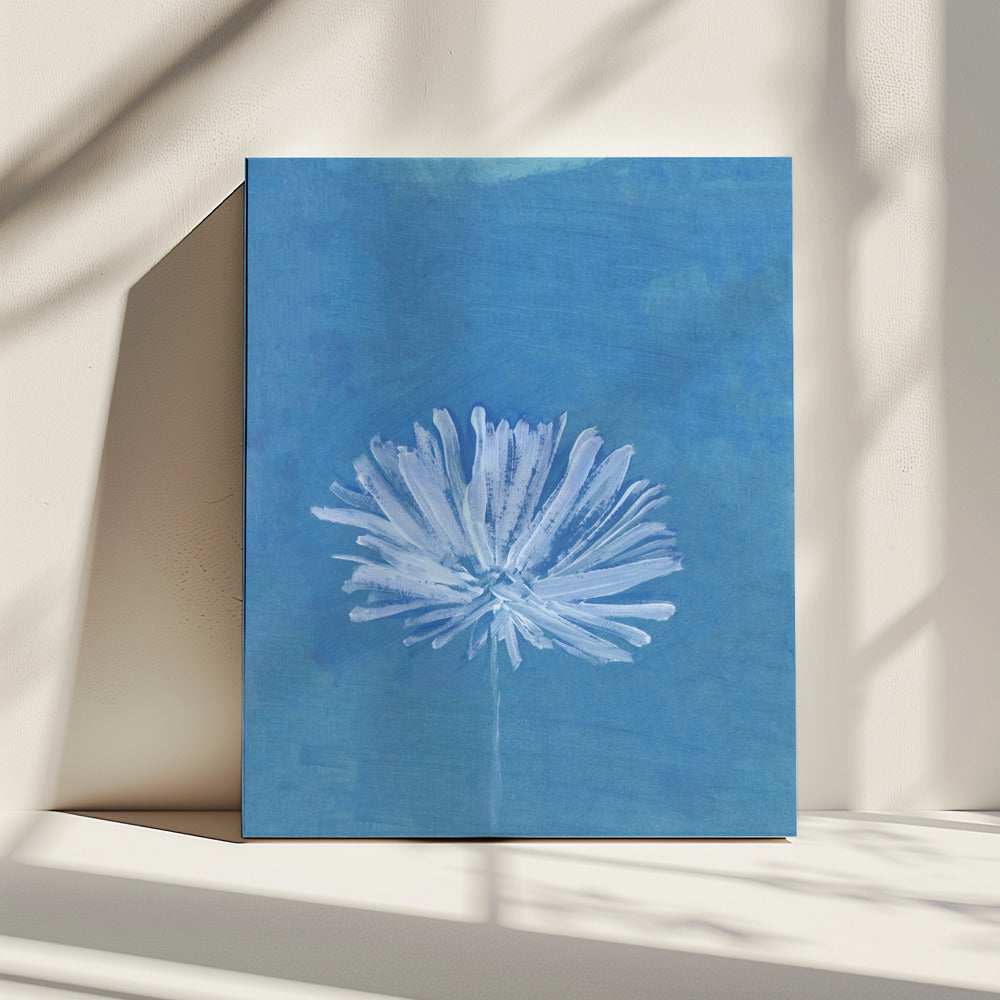 Weiße Blume auf blauem Hintergrund | Leinwand