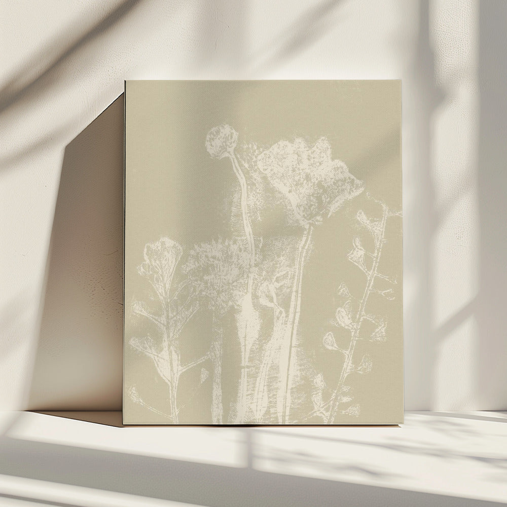 Abstract Florals. White meadow plants and flowers on neutral beige. | Canvas