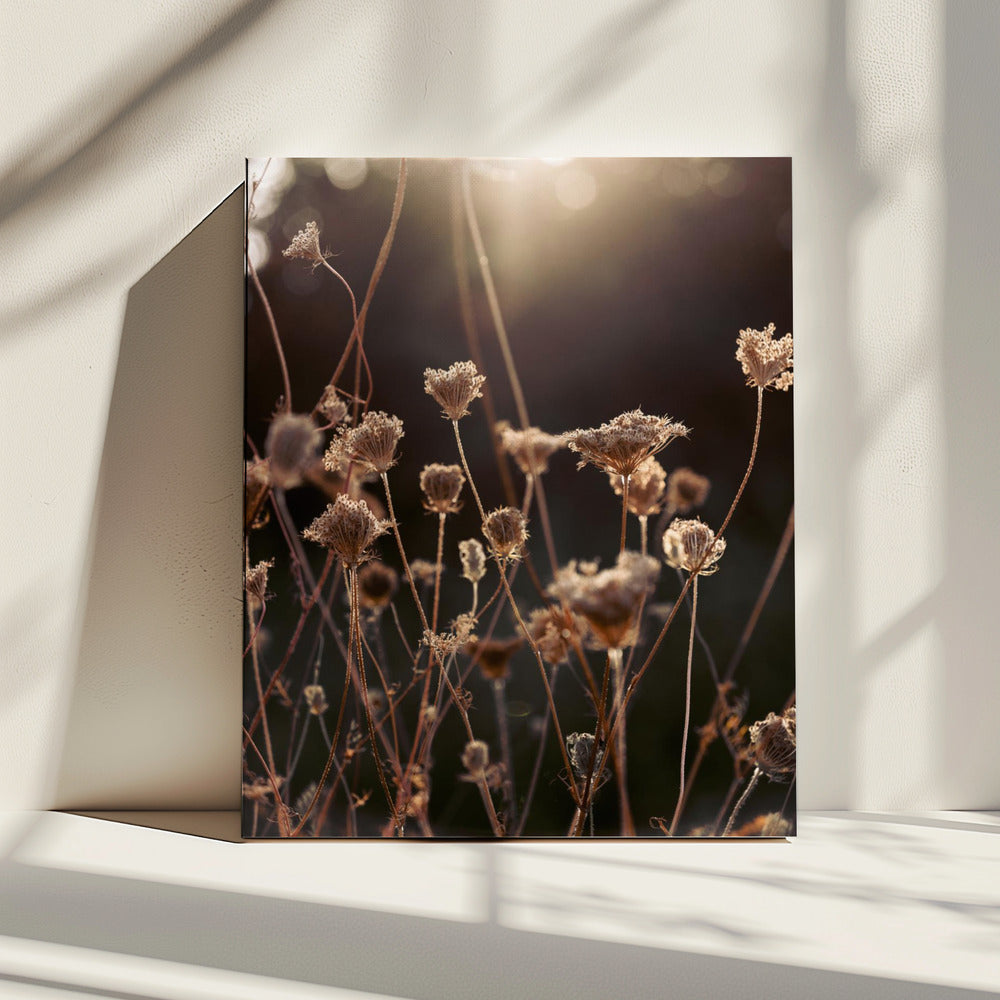 Warmes Winterlicht 2 | Leinwand