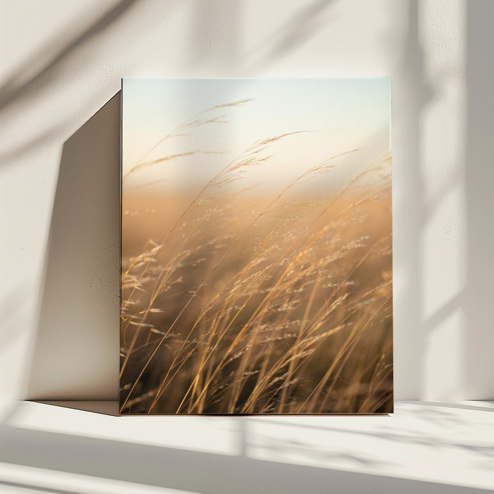Goldenes Präriegras | Leinwand