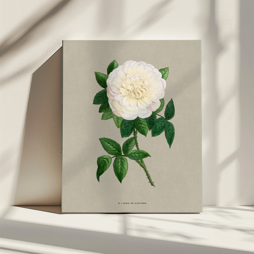 Rose Marie De Saint Jean | Leinwand