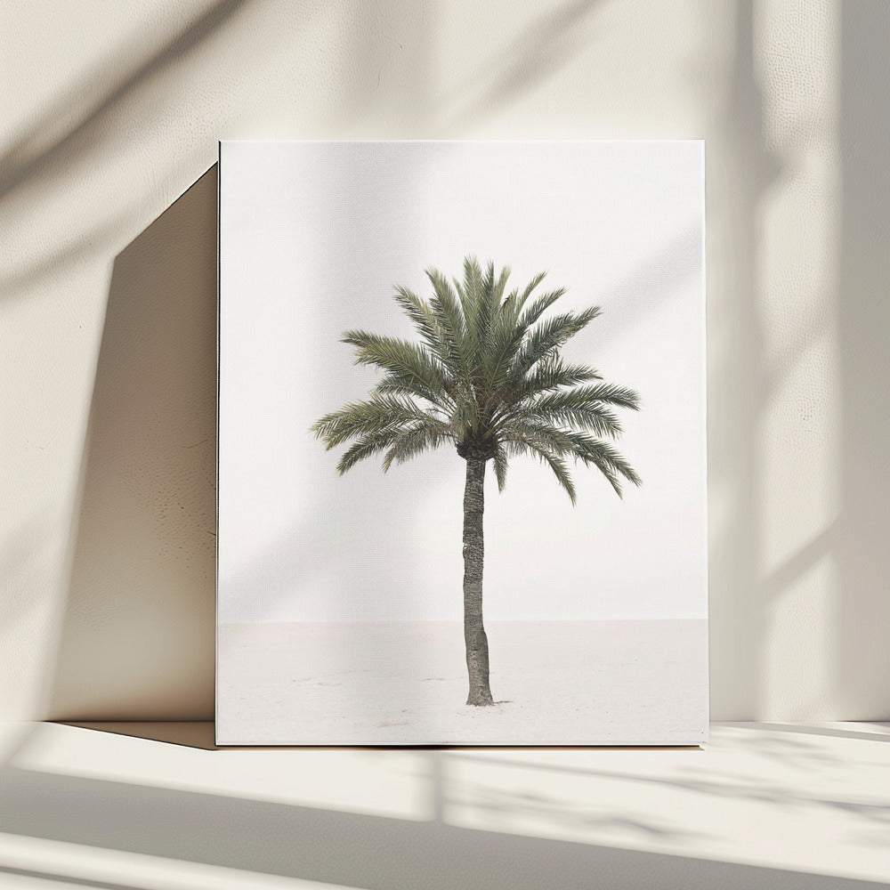 Palme | Leinwand