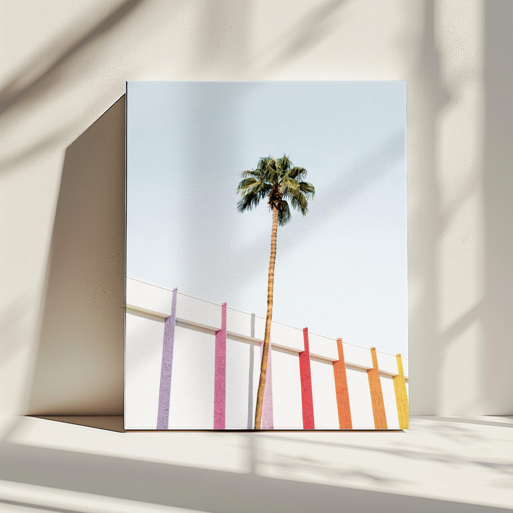 Palm Spring Farben 2 | Leinwand